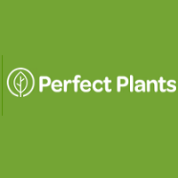 Perfect Plants Nursery