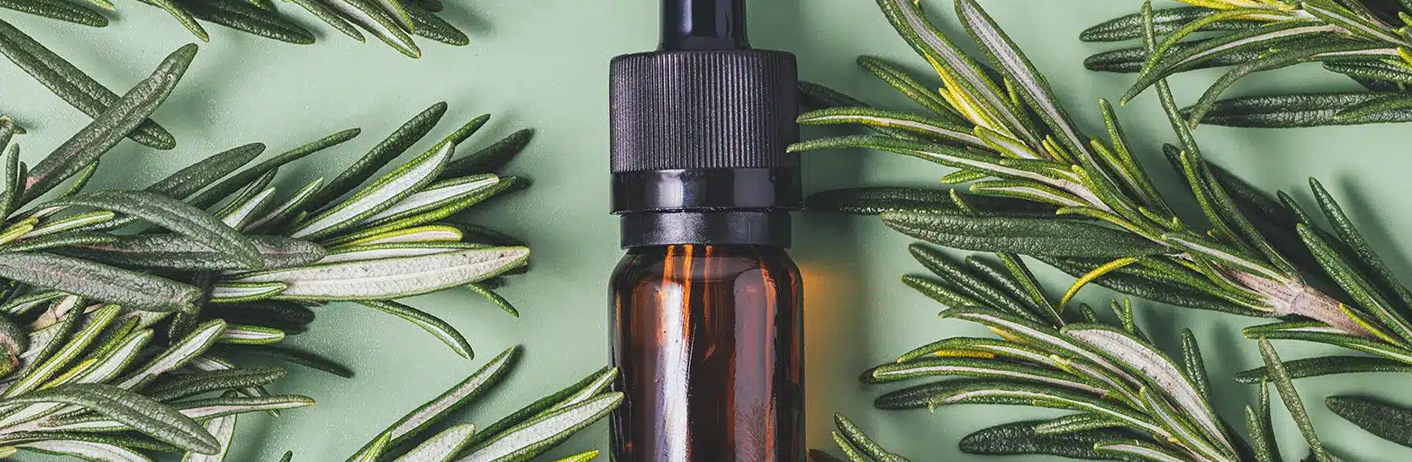 Discover how Rosemary Oil can Magically Transform your Hair