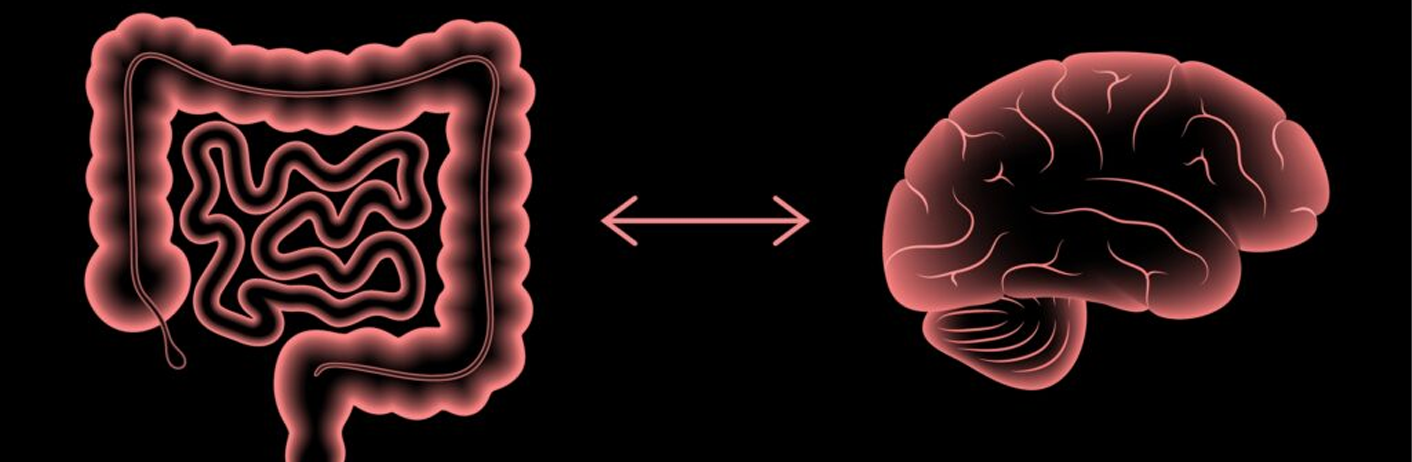 The Gut-Brain Axis _ How Gut Impacts Your Mental Health